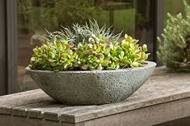 9 Best Succulent Planters For Container
