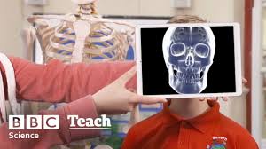 This is an educational video where children can learn more about the human body. Bones And Muscles Theschoolrun