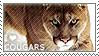 Image result for howrse stamps