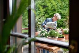 Balcony Vegetable Gardening In India