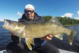 Walleye Fishing Trips In Ontario
