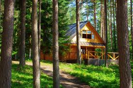 how much does it cost to build a log cabin