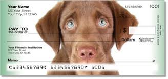 Maybe you would like to learn more about one of these? Chocolate Lab Pup Checks Petchecksdirect Com