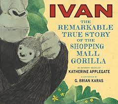 Karas's muted illustrations capably reflect the contrasts between ivan's happy applegate's spare text gives readers just enough grounding to follow ivan's journey, while karas's artwork fills in ivan's emotional life through the gorilla's engaged. Ivan The Remarkable True Story Of The Shopping Mall Gorilla Applegate Katherine Karas Mr G Brian 9780544252301 Amazon Com Books
