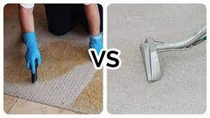 steam or dry carpet cleaning