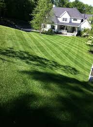 beautiful lawn with fall aeration