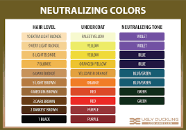 the hair color wheel explained the