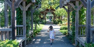 north carolina arboretum