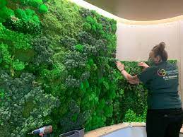 Your Top Moss Wall Questions Answered