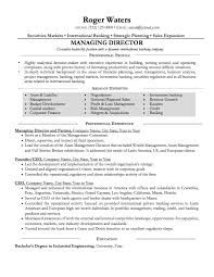     best Resume Templates and CV Reference images on Pinterest     Resume Templates