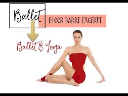 ballet floor barre 1 you