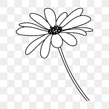 flower black and white clipart images