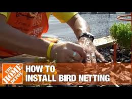 How To Install Bird Netting