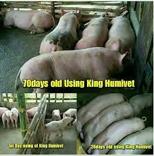 KING HUMIVET NOW IN A NEW PACK. CHRISTMAS PROMO PRICE #2,500 PER SACHET. -  Agriculture - Nigeria