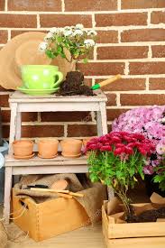 flowers in wooden box pots and garden