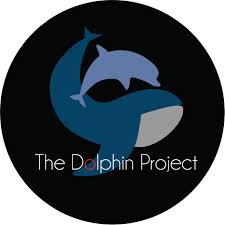 Playful logo of a friendly dolphin in a jumping out of water movement. Dolphin Project Logo Dolphins Projects Logos
