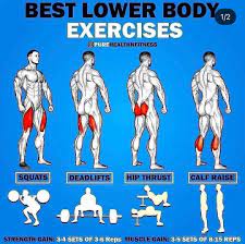 lower body exercises easy chart swipe