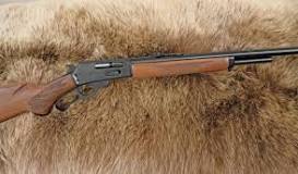 Image result for 444 marlin ammo