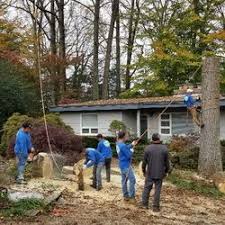 Have a damaged or dead tree? Merino Landscaping Tree Service 14 Photos Landscaping 7400 Beulah St Alexandria Va United States Phone Number