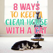 8 ways to keep a clean house with a cat