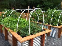 Garden Raised Bed Wicking Greenhouse