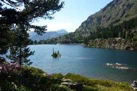 Semaine de vie en milieu naturel dans les Pyrénées à l’étang des Bésines  Images?q=tbn:ANd9GcTbrzuQNH45myWQzlN_tgi8sSLcj2p2QDCmWXZMJ1Jj1N2DNsZmWw