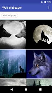 The great collection of images of wolf wallpapers for desktop, laptop and mobiles. Amazon Com Wolf Wallpaper Hd Free Appstore For Android