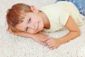 carpet cleaning services company nh