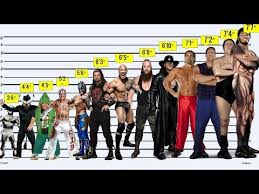 Wwe Wrestlers Height Comparison From Shortest To Tallest