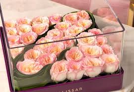 My thoughts and prayers are with. Which Flower Bouquet Should I Buy For My Colleague Alissar Flowers