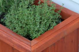 herb garden window box plans part ii