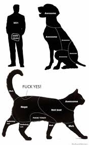 9 Petting Chart Funny Pmslweb