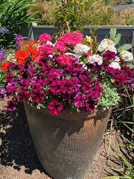About Container Gardening Services