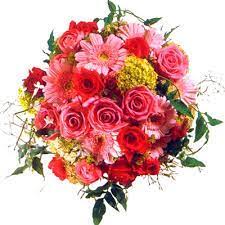 delivery abu dhabi flowers and gifts