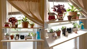build indoor window shelves for plants