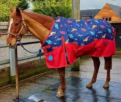 the best patterned horse rugs on the