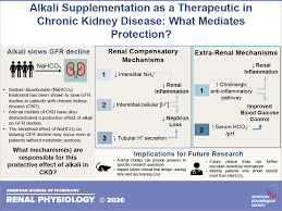 If at anytime we can be of additional. Alkali Supplementation As A Therapeutic In Chronic Kidney Disease What Mediates Protection American Journal Of Physiology Renal Physiology