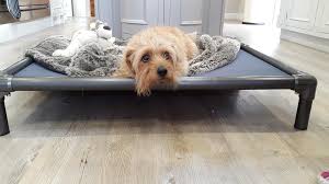 Kuranda Indoor Raised Dog Beds Easy Animal Store View