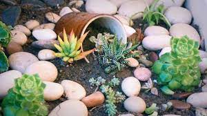 Succulent Garden Ideas For Small Spaces
