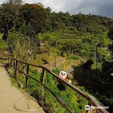 Cameron highlands is situated in pahang, west malaysia. Ee Feng Gu Bee Farm Travel Guidebook Must Visit Attractions In Cameron Highlands Ee Feng Gu Bee Farm Nearby Recommendation Trip Com