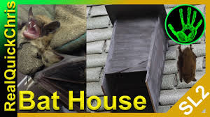 house and attic with a diy bat house