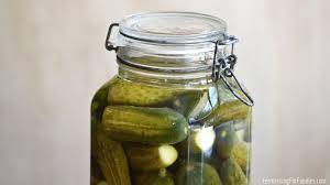 lacto fermented dill pickles