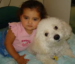 worst and best dog breeds for a child