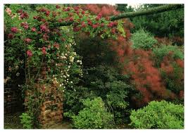 newby hall gardens ripon north