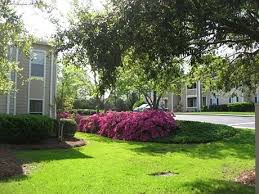 Spring Valley Apartments Columbia Sc