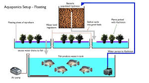 how to start an aquaponic garden the