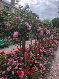 Claude Monet S Gardens In Giverny