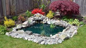 Affordable Diy Backyard Pond Ideas