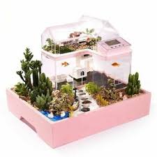 creative fish tank ecological home