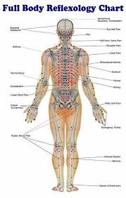 Full Body Reflexology Chart Reflexology Massage